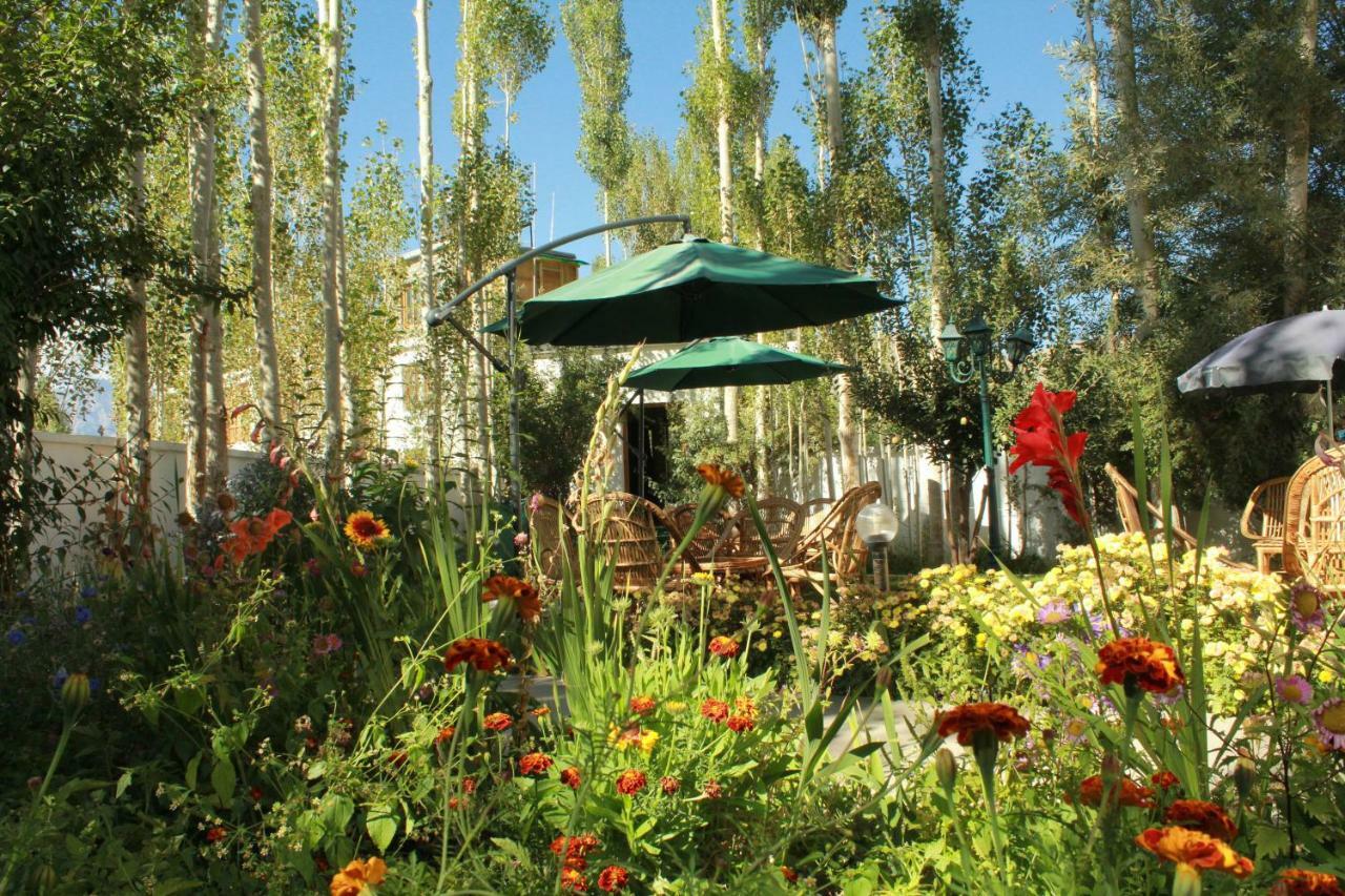 Hotel Ladakh Greens - An Organic Retreat Leh Kültér fotó